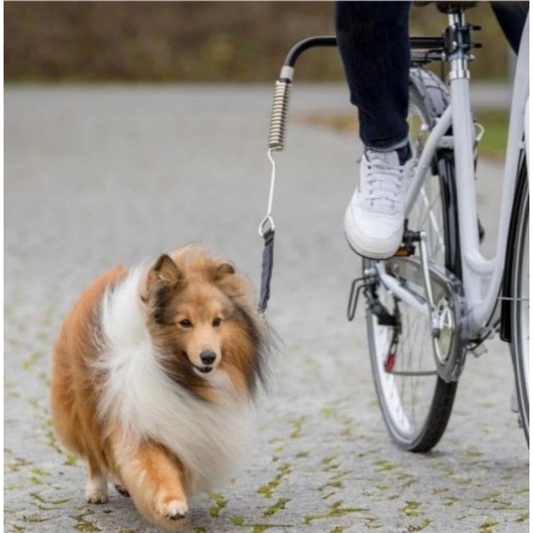 Bezpečné vodítko na psa, na kolo s paží